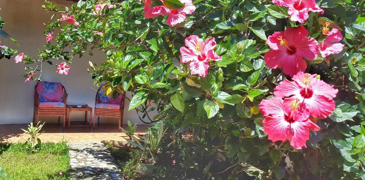 Vida Tropical Bed & Breakfast Alajuela Екстериор снимка
