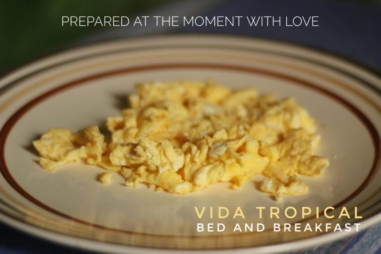 Vida Tropical Bed & Breakfast Alajuela Екстериор снимка
