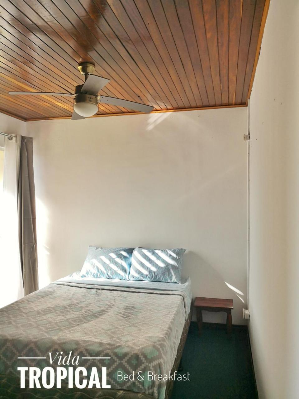 Vida Tropical Bed & Breakfast Alajuela Екстериор снимка